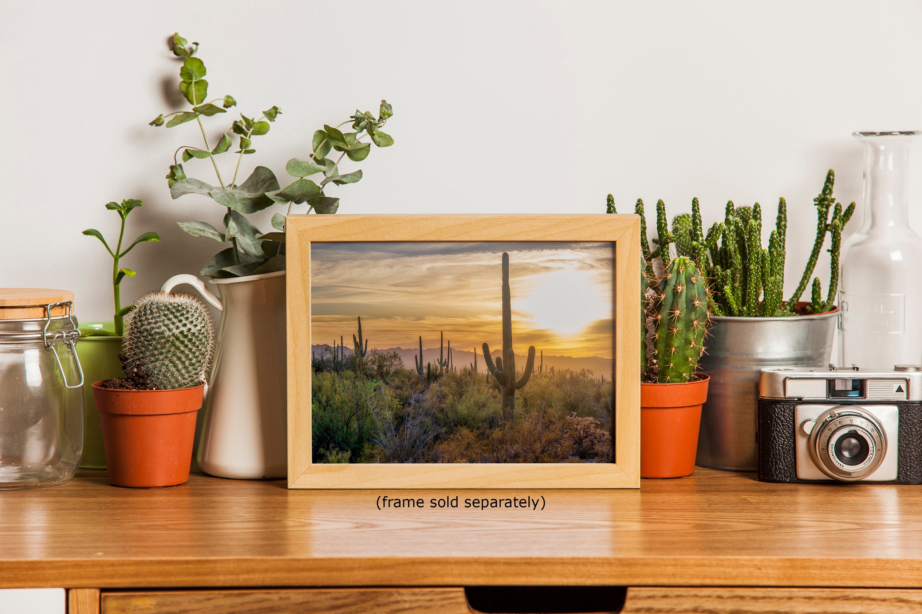 Saguaro National Park Arizona Desert Picture Sunset Nature Photo, Bohemian Style Relaxation Artwork, Southwestern Sonoran Desert House Decor