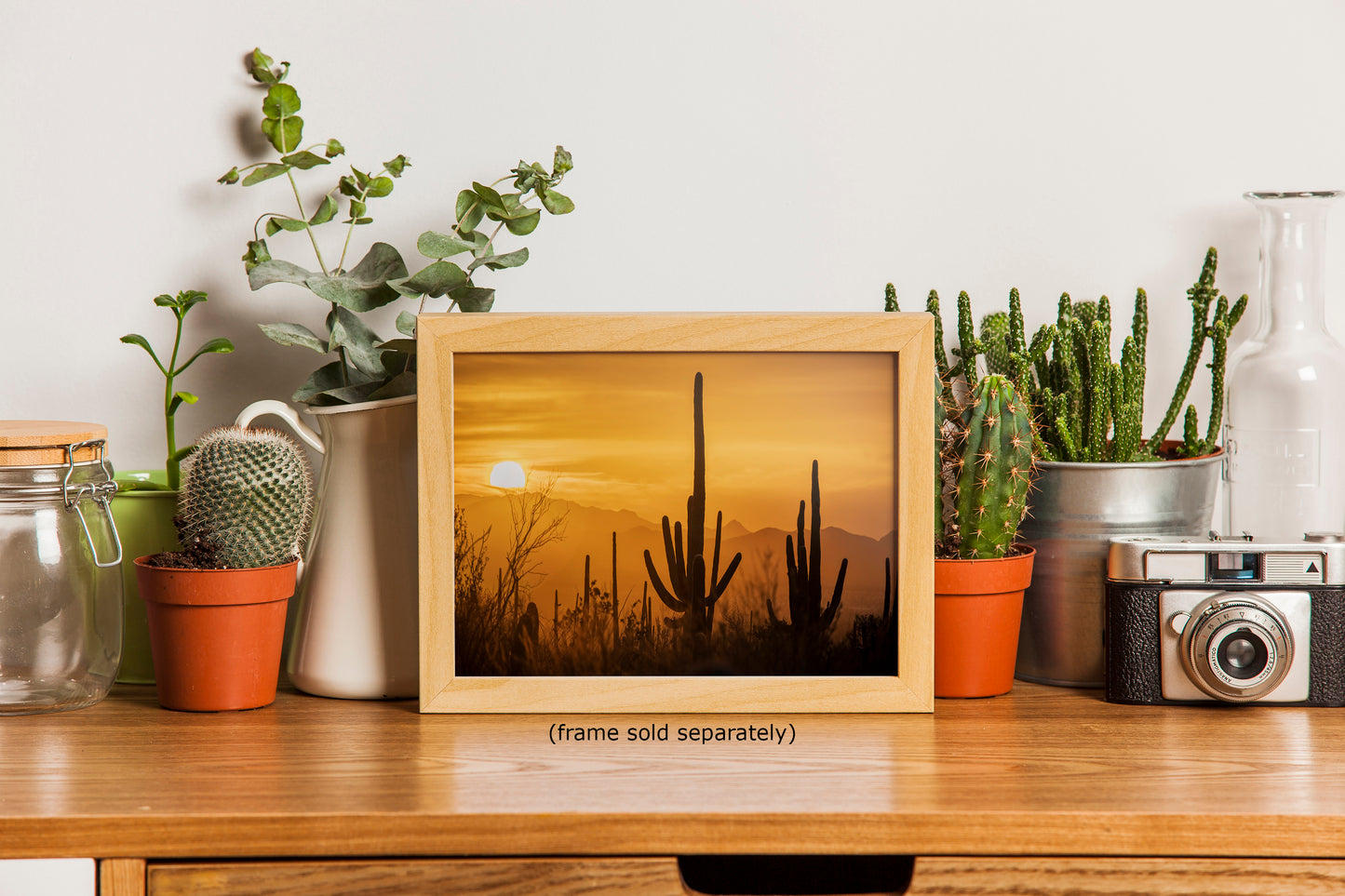 Saguaro National Park Arizona Desert Picture Nature Photo Silhouette, Bohemian Style Relaxation Artwork, Southwestern Sonoran Desert House Decor