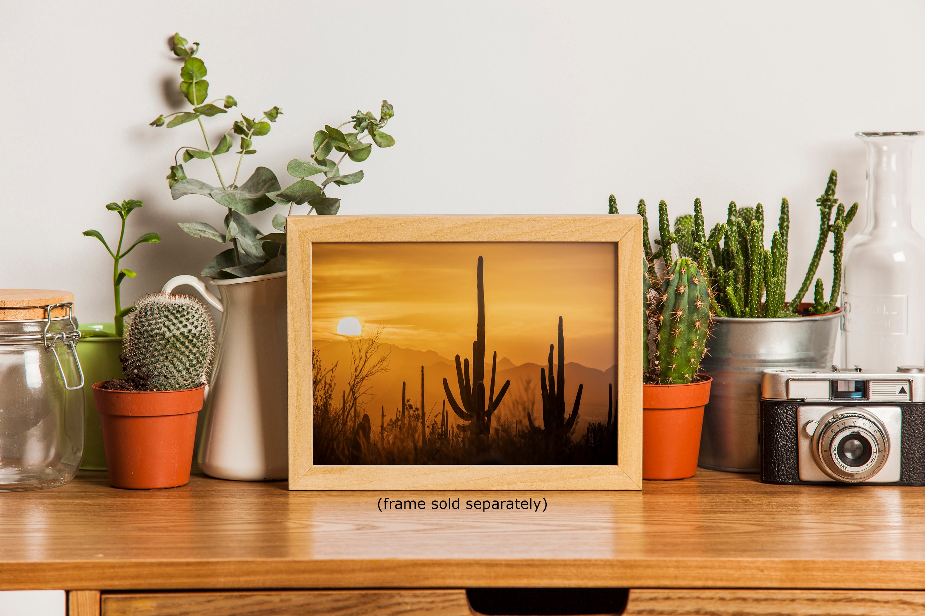 Saguaro National Park Arizona Desert Picture Nature Photo Silhouette, Bohemian Style Relaxation Artwork, Southwestern Sonoran Desert House Decor