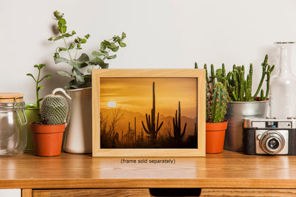 Saguaro National Park Arizona Desert Picture Nature Photo Silhouette, Bohemian Style Relaxation Artwork, Southwestern Sonoran Desert House Decor