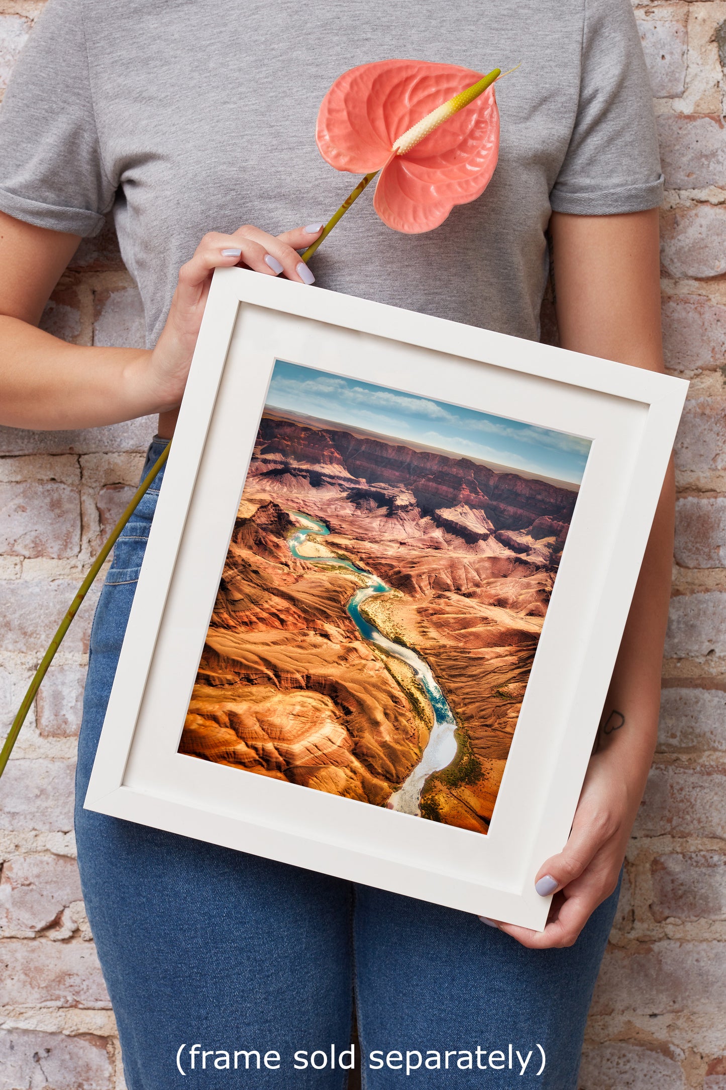 Grand Canyon National Park, Arizona Desert Picture Nature Photo with Colorado River, Bohemian Style Relaxation Artwork for Meditation, Office & House Decor