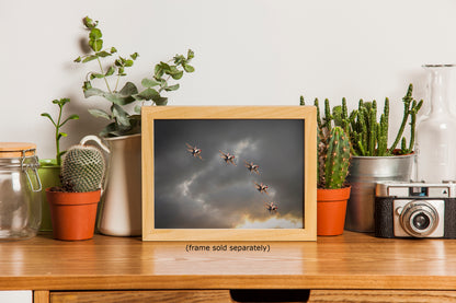 US Airforce Thunderbirds F-16 Fighting Falcon Aviation Artwork | Military Aviation Decor for Home & Office Display