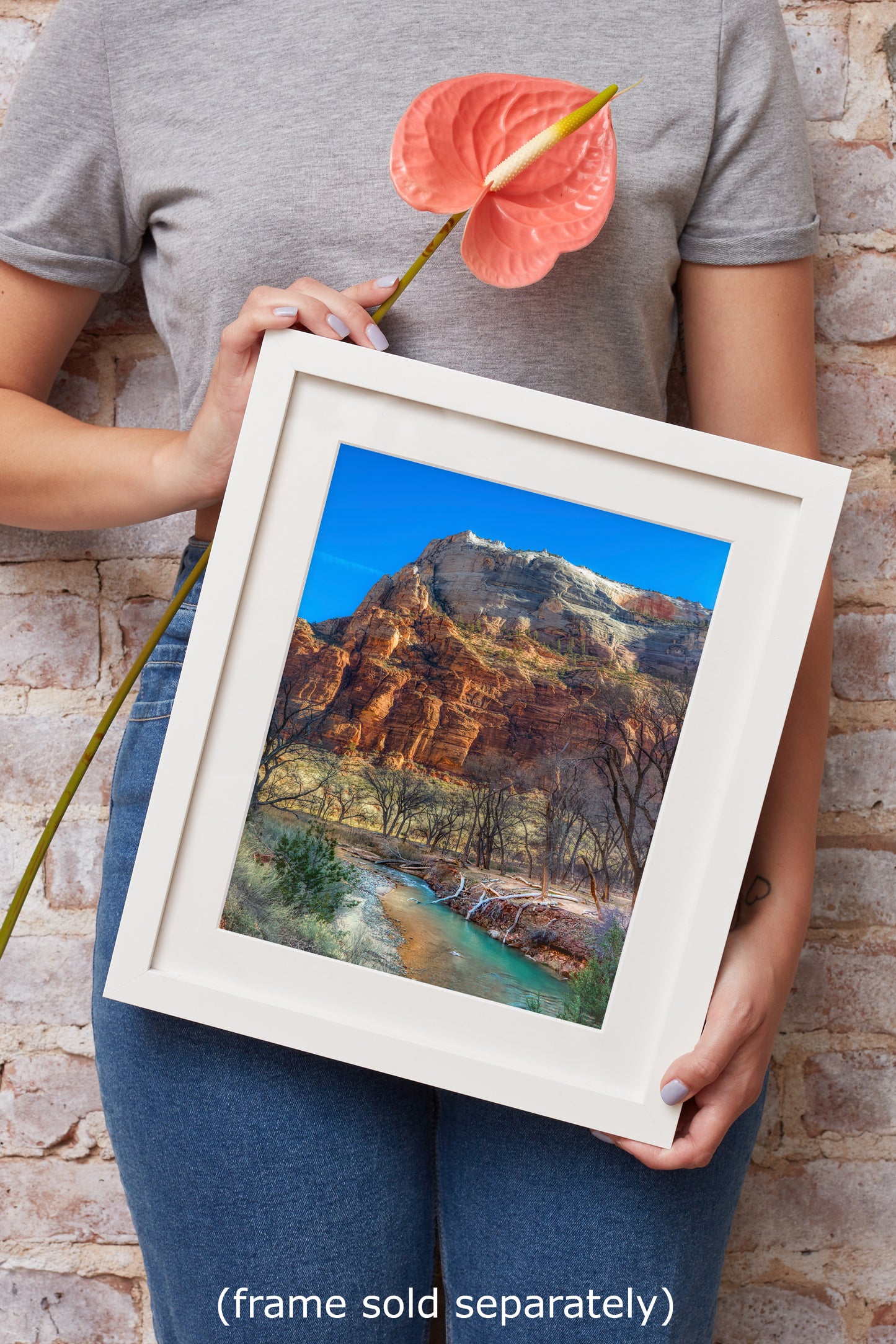 Zion National Park Southern Utah Desert Picture, Southwestern Wall Art, Relaxation Artwork Nature Photo for House Decor