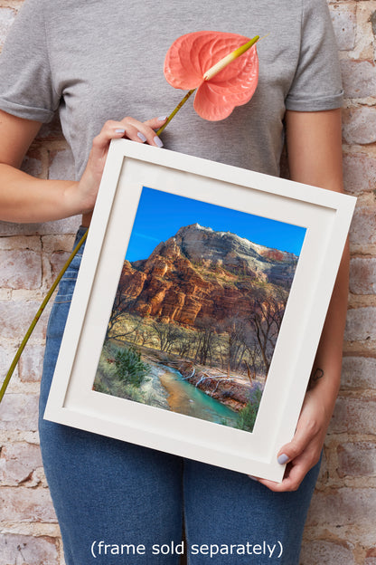 Zion National Park Southern Utah Desert Picture, Southwestern Wall Art, Relaxation Artwork Nature Photo for House Decor