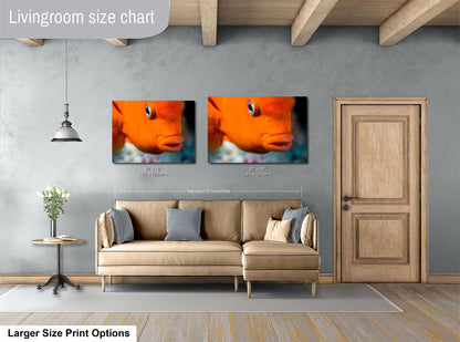 Vibrant Garibaldi Fish Underwater Photo Print - Ocean Wall Art for Marine Life Enthusiasts