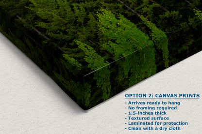 a picture of a box with trees in it