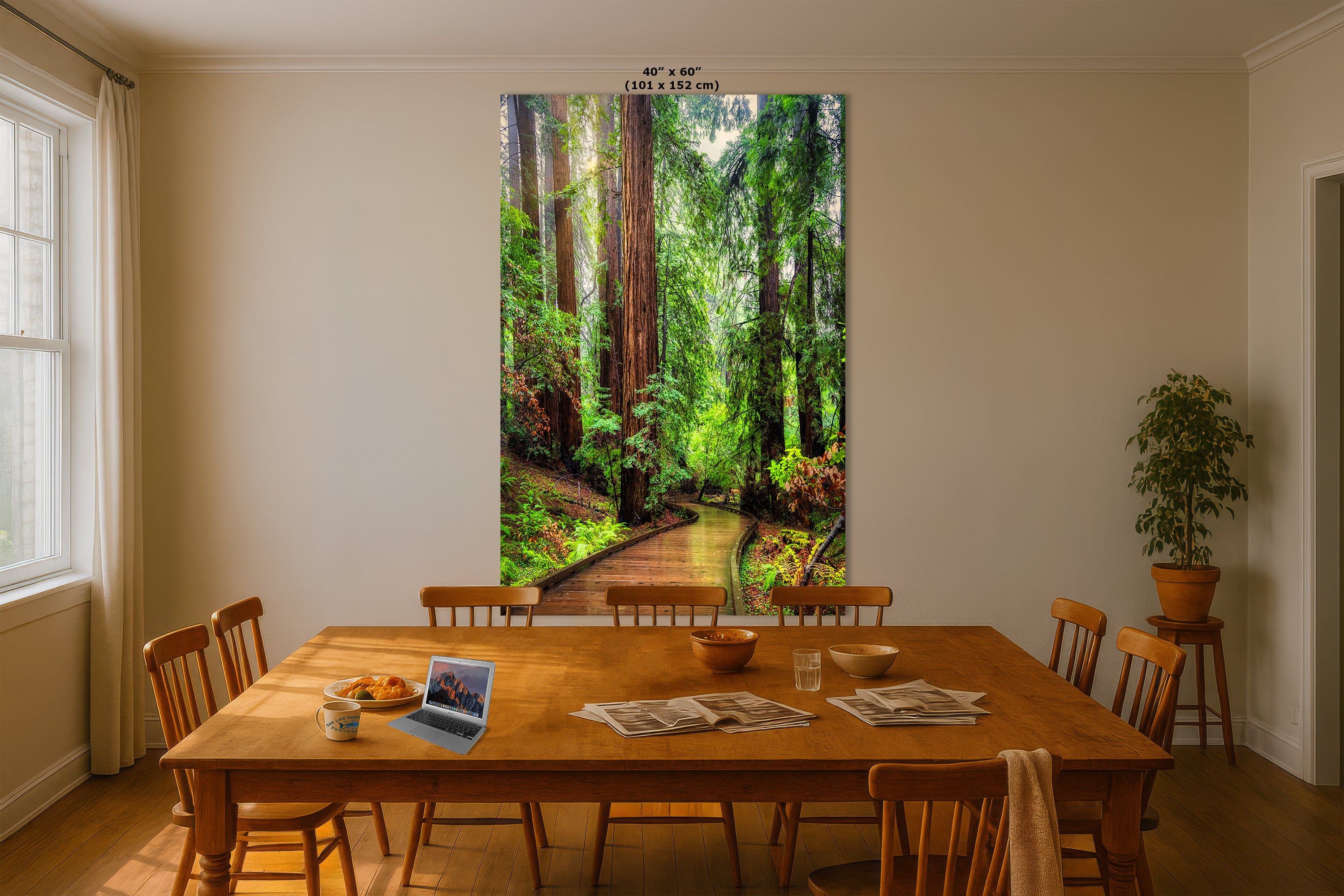 Redwood Trees Forest Picture Sunrise Nature Photo, Forest Bathing House Decor, Relaxing Wall Art for Meditation, Home and Office