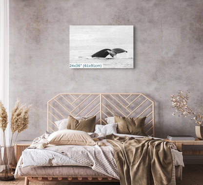 High-key black and white wall art of a humpback whale fluke displayed above a bed in a modern bedroom, size 24x36 inches.