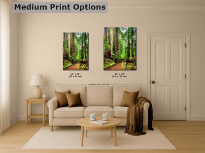 Redwood Trees Forest Picture Sunrise Nature Photo, Forest Bathing House Decor, Relaxing Wall Art for Meditation, Home and Office