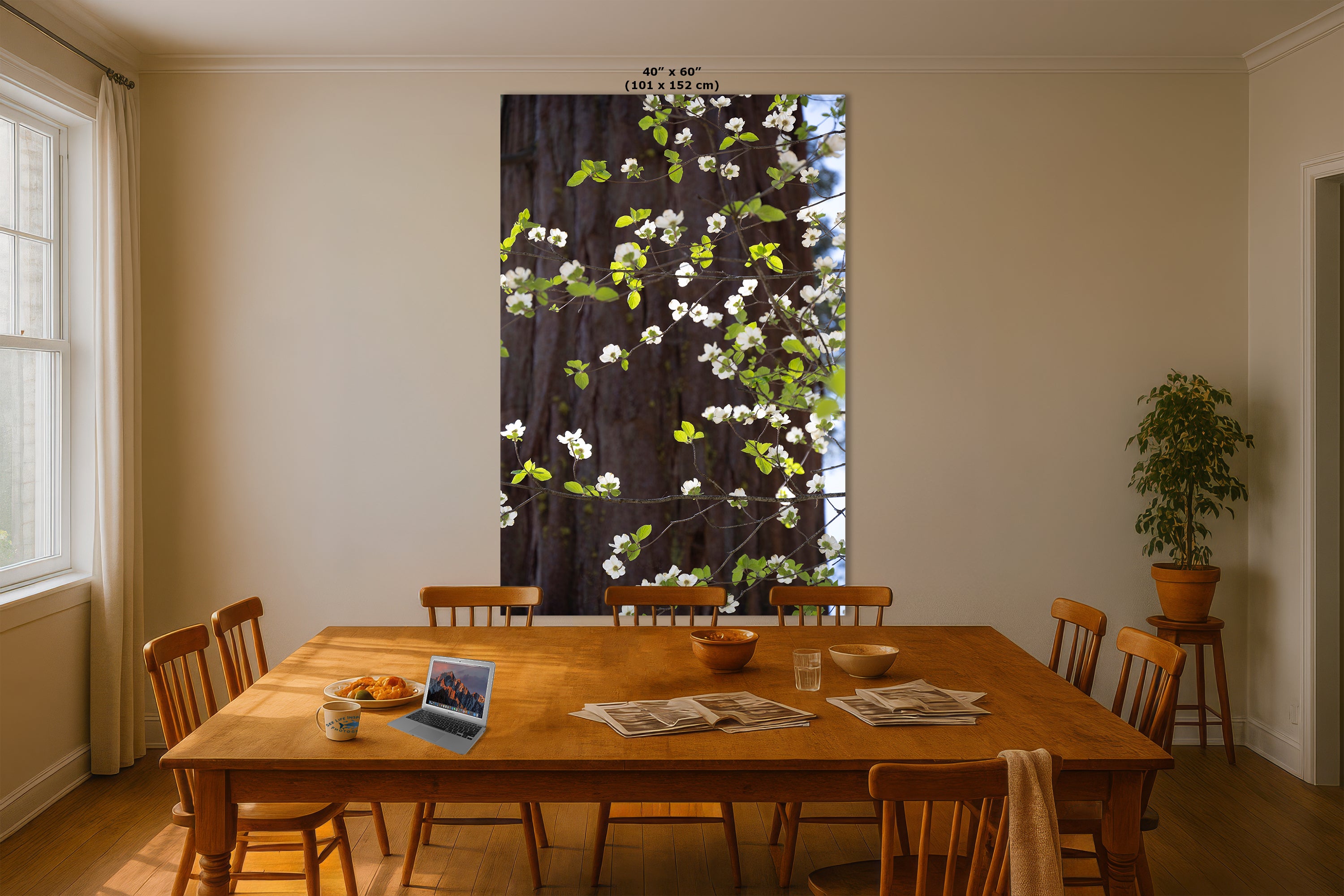 Pacific Dogwood Forest Picture Nature Photo | Yosemite Nature Canvas Print, Forest Bathing for Meditation, Relaxation, Dorm Room Decor