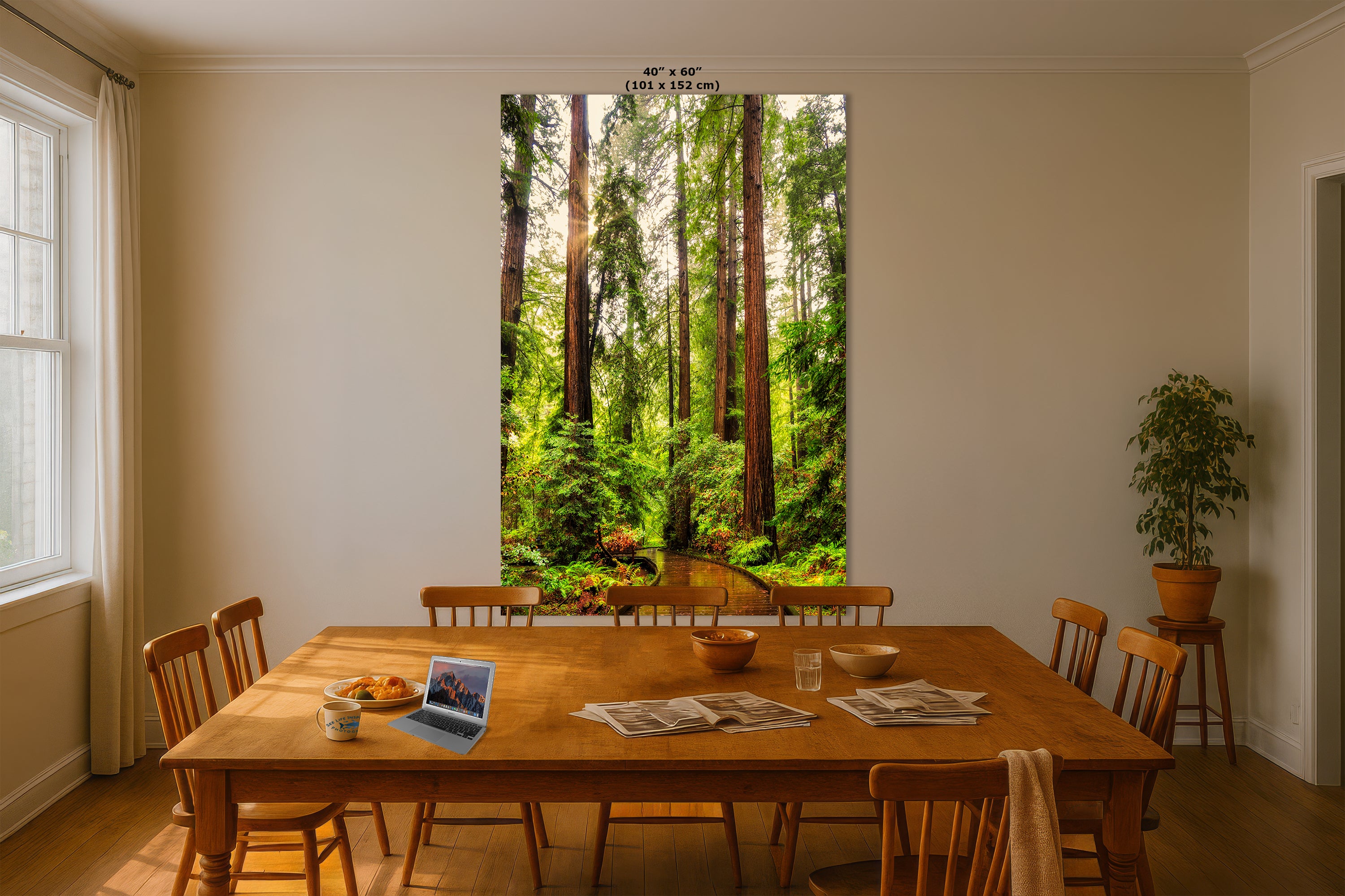 Redwood Trees Forest Picture Nature Photo, Forest Bathing House Decor