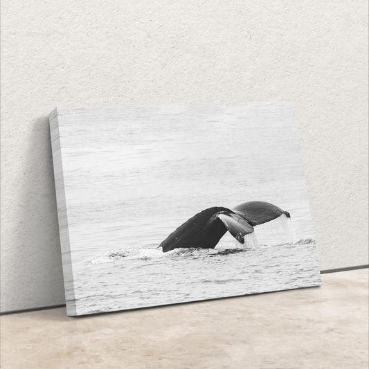 a black and white photo of a whale diving out of the water