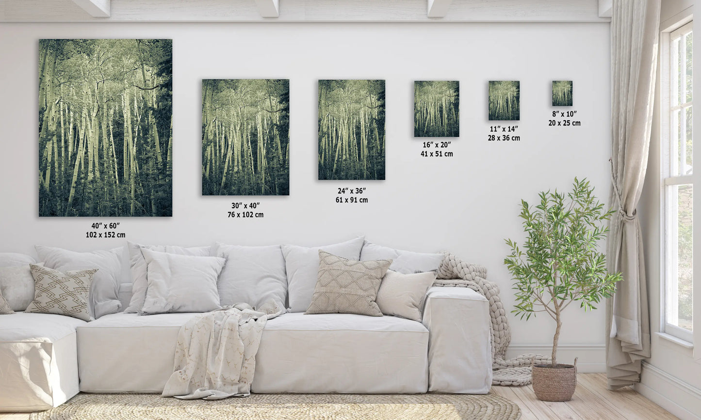 a living room with a white couch and paintings on the wall