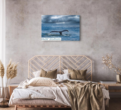 Humpback whale fluke wall art, sized 24x36 inches, mounted above a cozy, neutral-toned bed in a rustic bedroom.