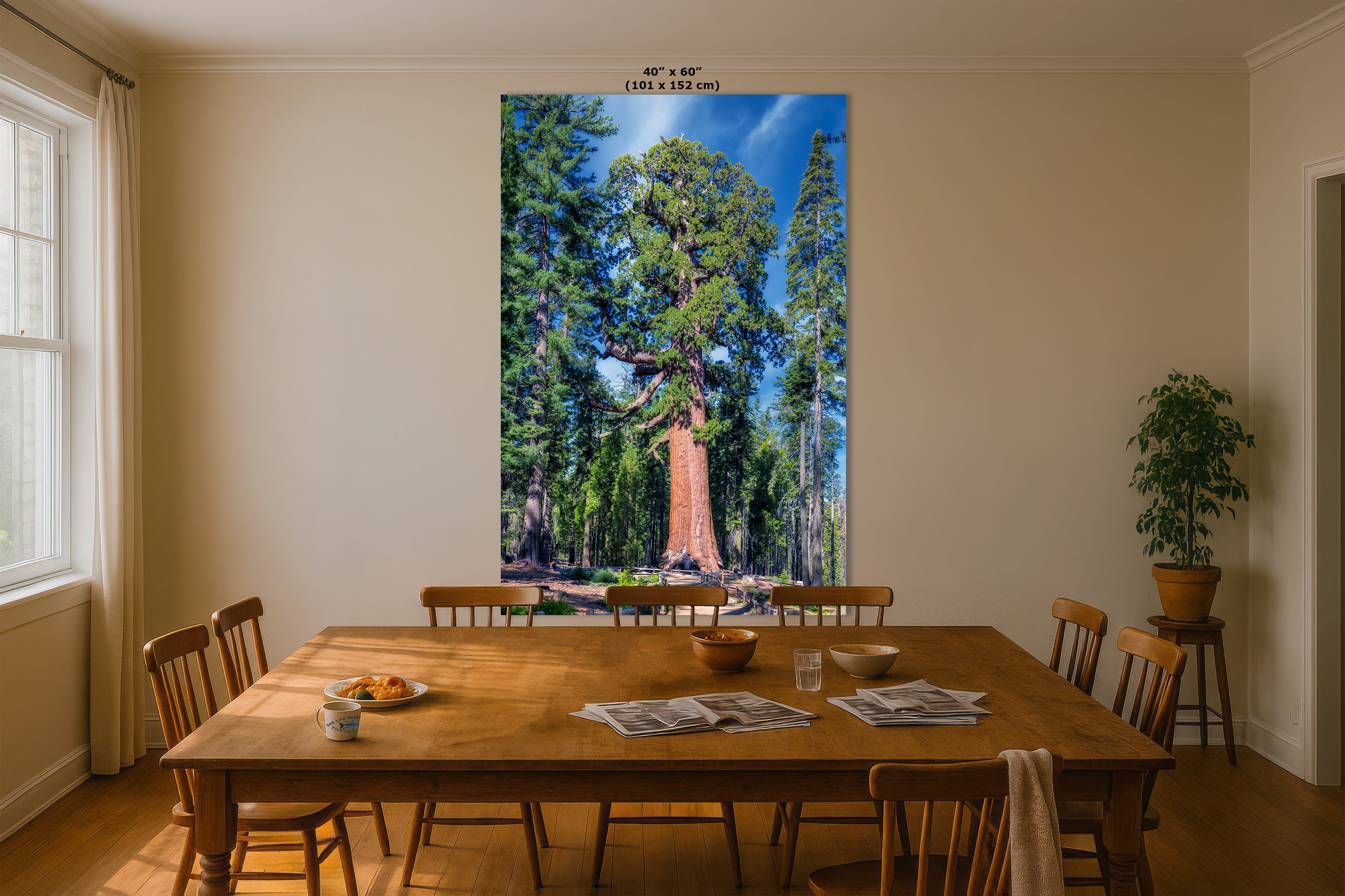 Giant Sequoia Tree Forest Picture Nature Photo, Yosemite Redwood Trees, Forest Bathing for Nature Lovers, House and Office