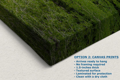 a picture of a box of grass with the words option 2 canvas prints