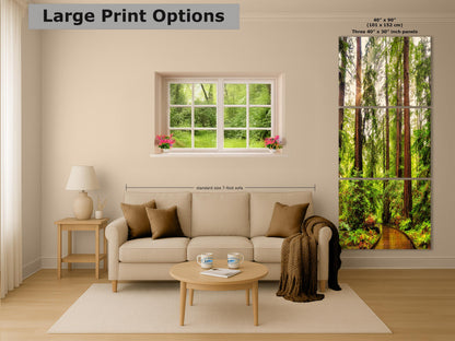 Redwood Trees Forest Picture Nature Photo, Forest Bathing House Decor, Relaxing Wall Art for Meditation, Home and Office