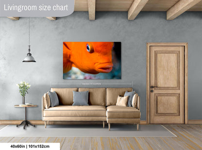 Vibrant Garibaldi Fish Underwater Photo Print - Ocean Wall Art for Marine Life Enthusiasts