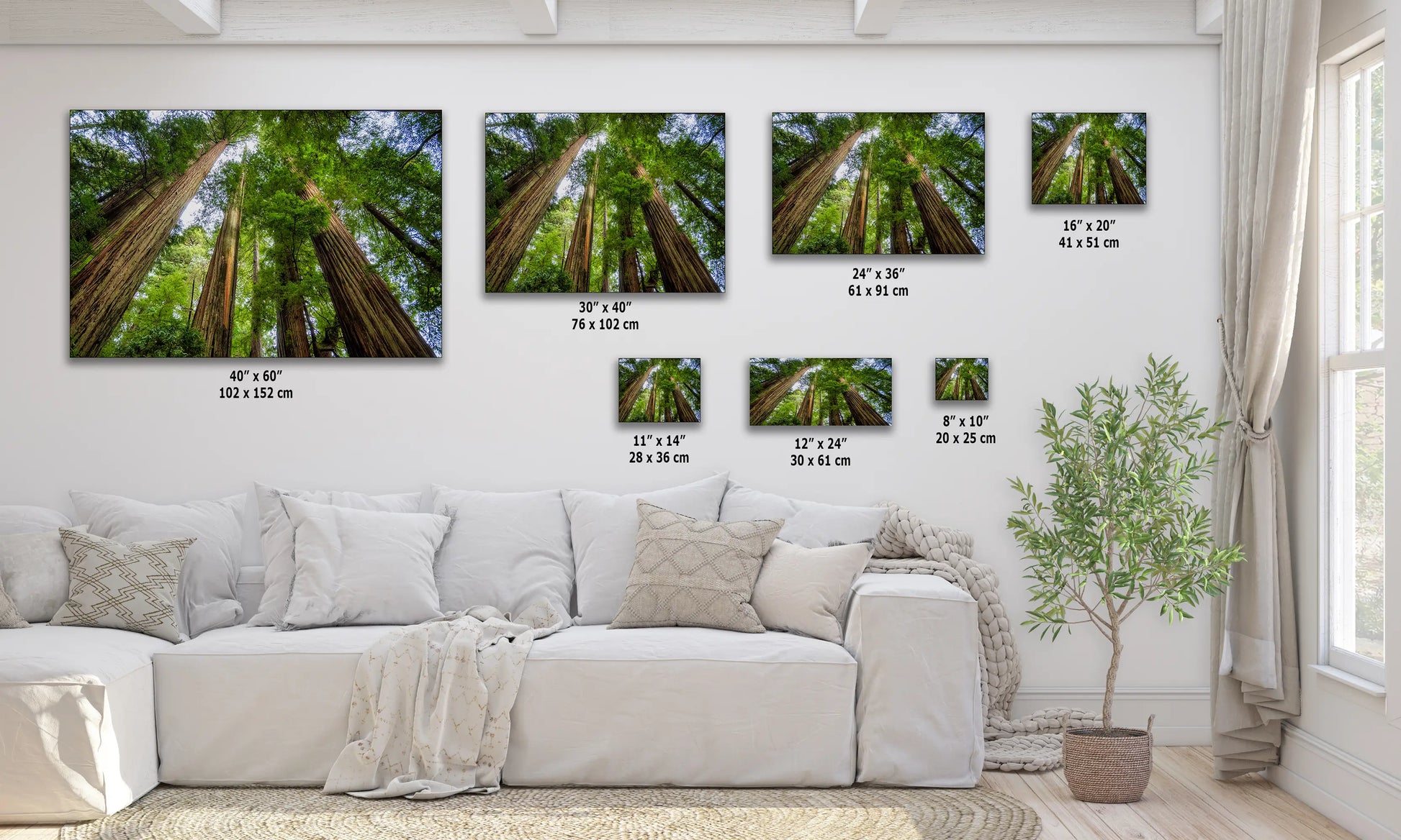 a living room with a white couch and four pictures on the wall