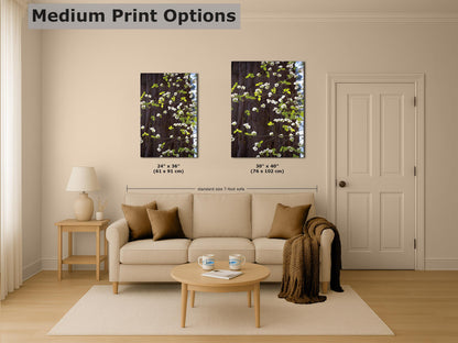 Pacific Dogwood Forest Picture Nature Photo | Yosemite Nature Canvas Print, Forest Bathing for Meditation, Relaxation, Dorm Room Decor