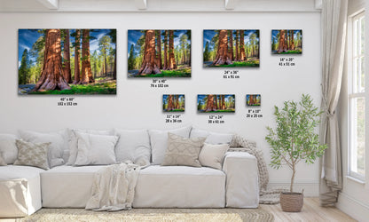 a living room with a couch and paintings on the wall