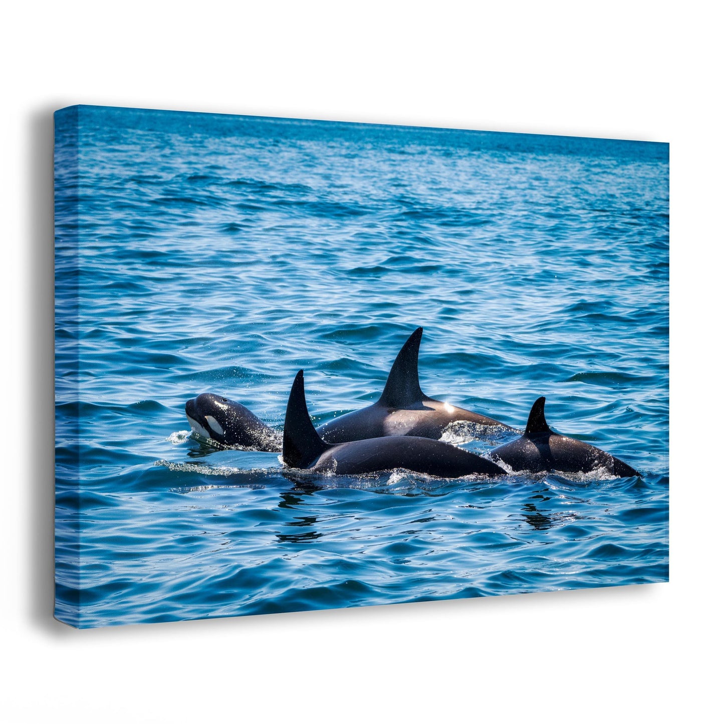 Orca Family Whale Art Gift, Sealife Ocean Animal Print, Killer Whale Marine Life Photograph Fine Art Print