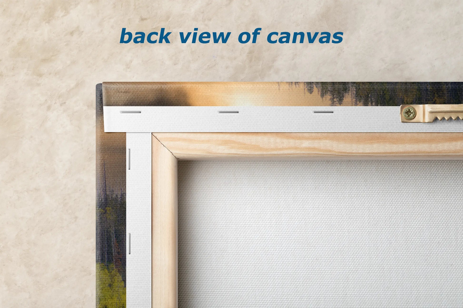 a picture of a window with the words back view of canvas on it