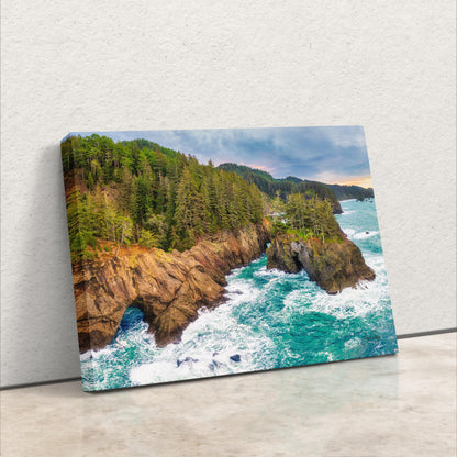 an aerial view of a rocky coastline with trees