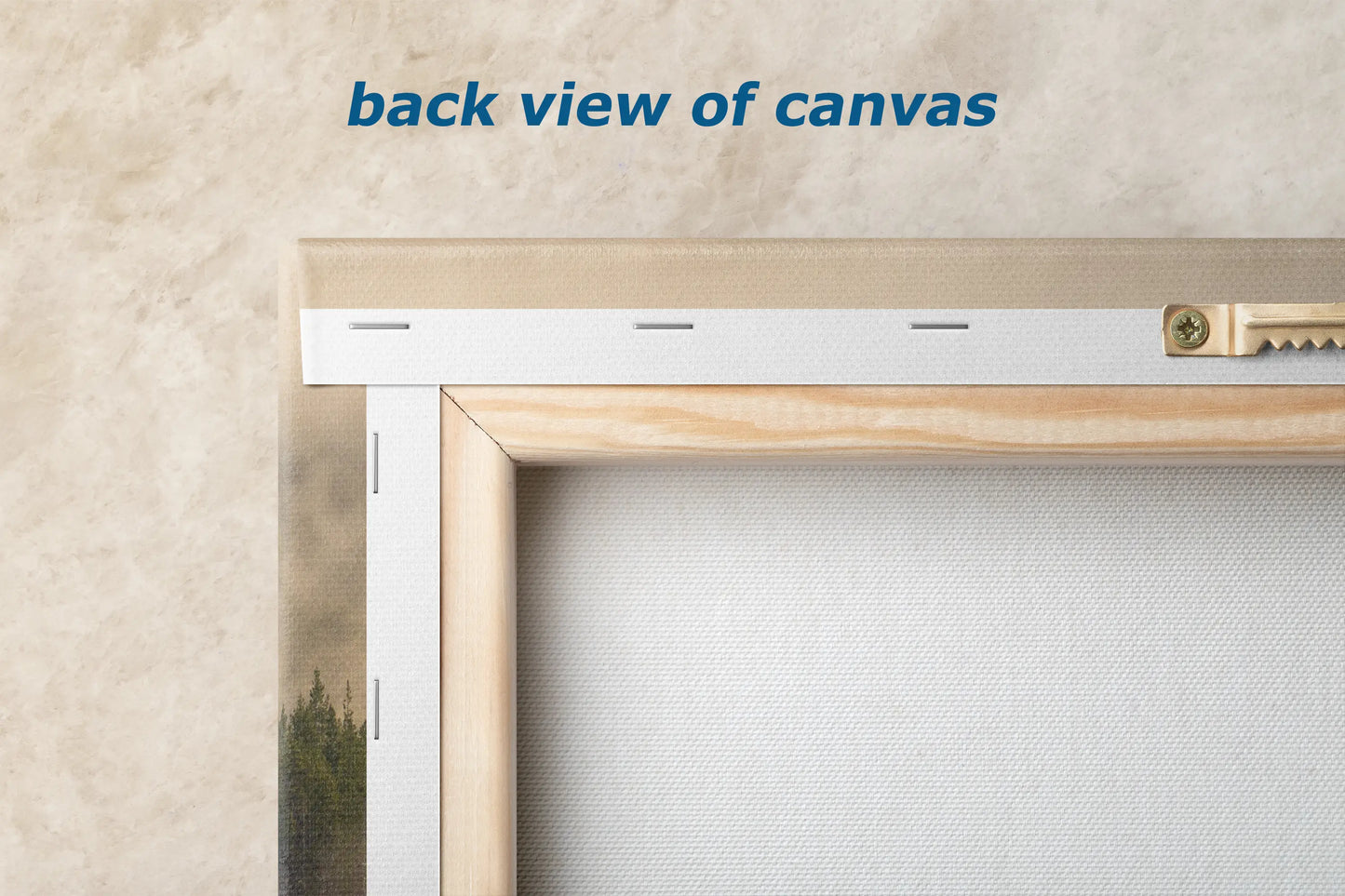 a picture of a window with the words back view of canvas on it