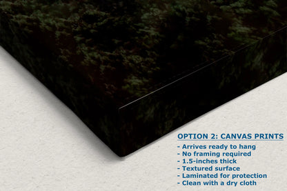 a close up of a black box with trees in the background