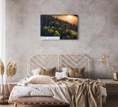 Aspen Tree Nature Wall Art Sunset Forest Landscape Photography Canvas Print