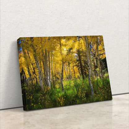 Fall Aspen Trees from Duck Creek, Utah Canvas Decor leaning on wall