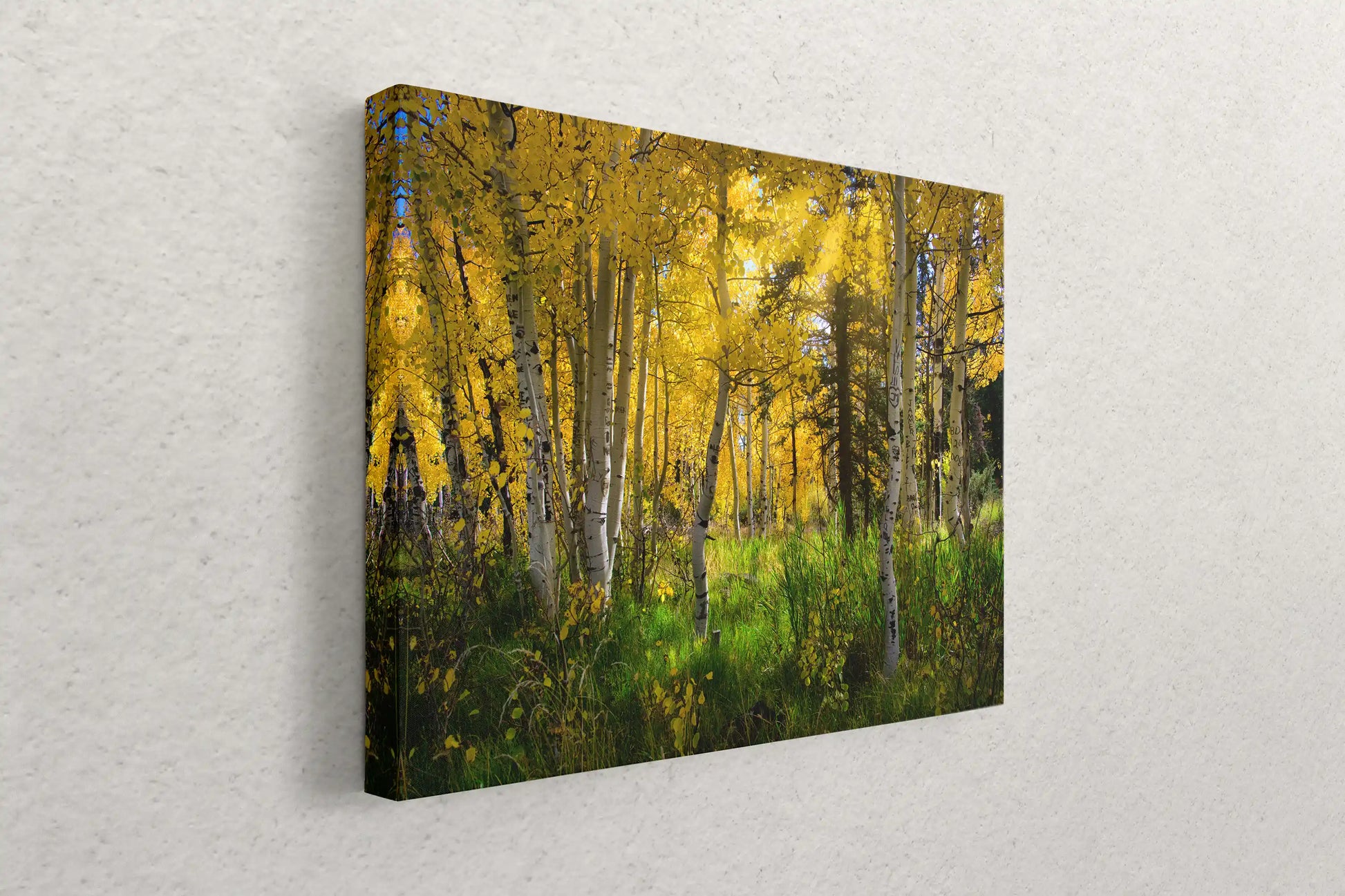 Fall Aspen Trees from Duck Creek, Utah Canvas Decor hanging on wall