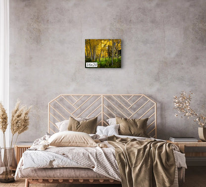 Fall Aspen Trees from Duck Creek, Utah in 16x20-inches over bed