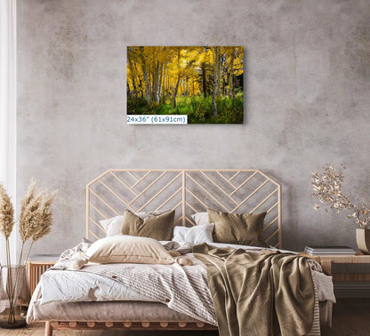 Fall Aspen Trees from Duck Creek, Utah in 24x36-inches over bed