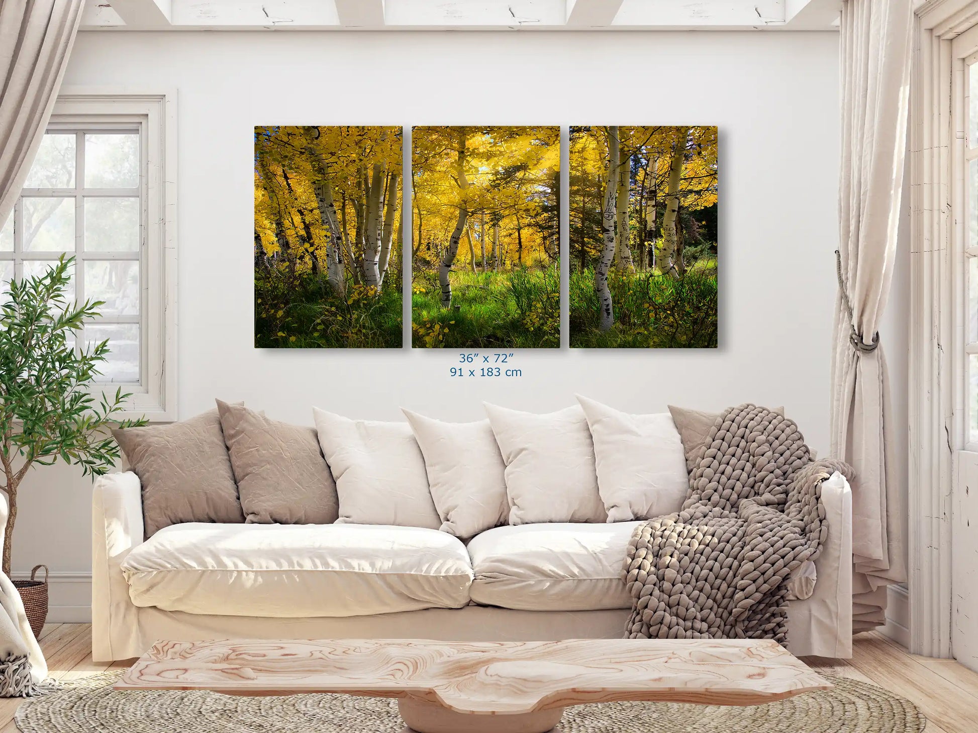 Fall Aspen Trees from Duck Creek, Utah in 36x72-inches over living room couch