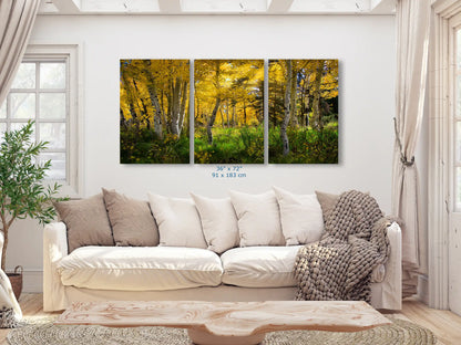 Fall Aspen Trees from Duck Creek, Utah in 36x72-inches over living room couch