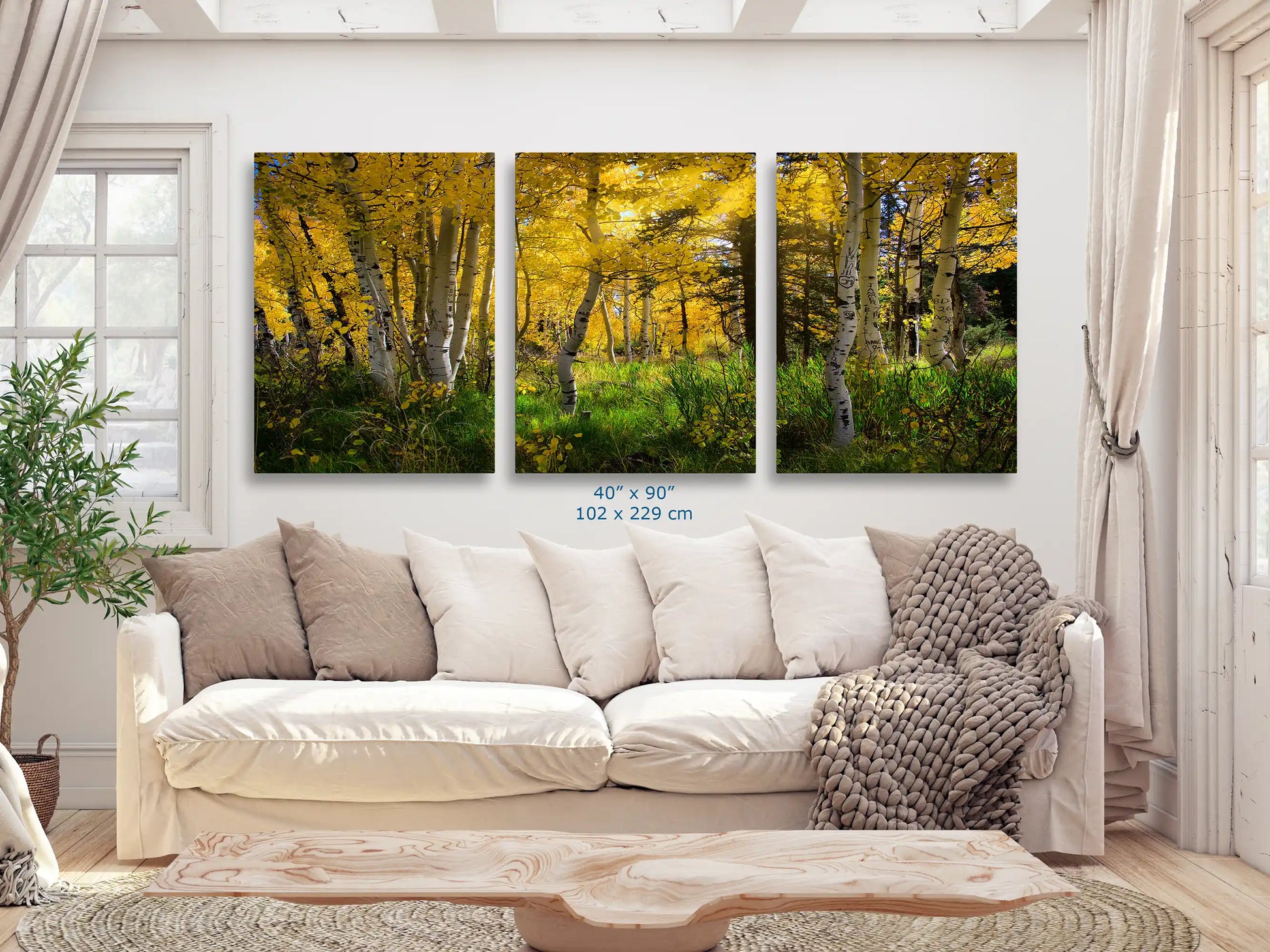 Fall Aspen Trees from Duck Creek, Utah in 40x90-inches over living room couch