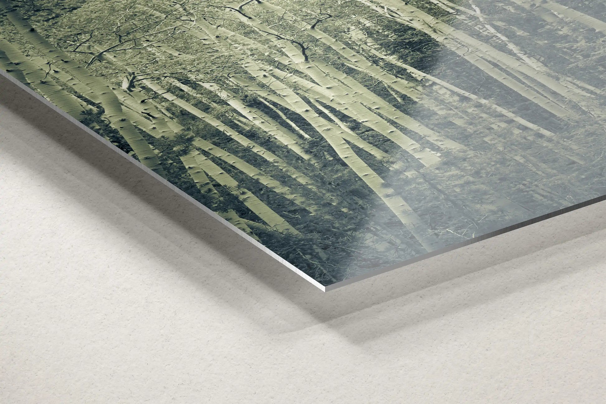 Close-up of modern metal print's edge, showing a duotone image of aspen birch trees with textured detail, giving a three-dimensional effect.