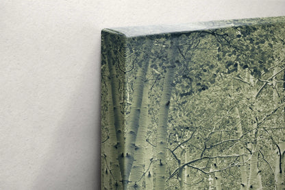 Side view of a canvas print against a white wall, showcasing the thickness and the continuous duotone image of aspen birch trees on the sides.