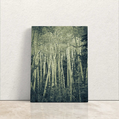 A canvas print leaning against a white wall, featuring a duotone photograph of a grove of aspen birch trees with a spooky ambiance.