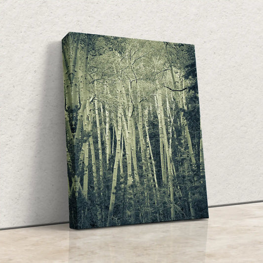 Aspen Tree Wall Art, Birch Tree Rustic Forest Wall Décor in Duo-Tone