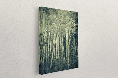 A canvas print hanging on a wall, featuring a tall, narrow duotone photograph of aspen birch trees, giving a sense of height and grandeur.