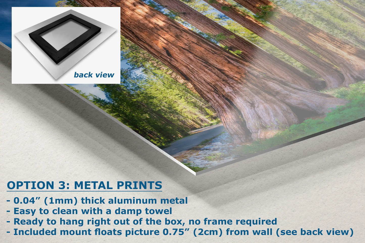 Close-up of metal print with an image of giant sequoias, showcasing the sleek aluminum surface.