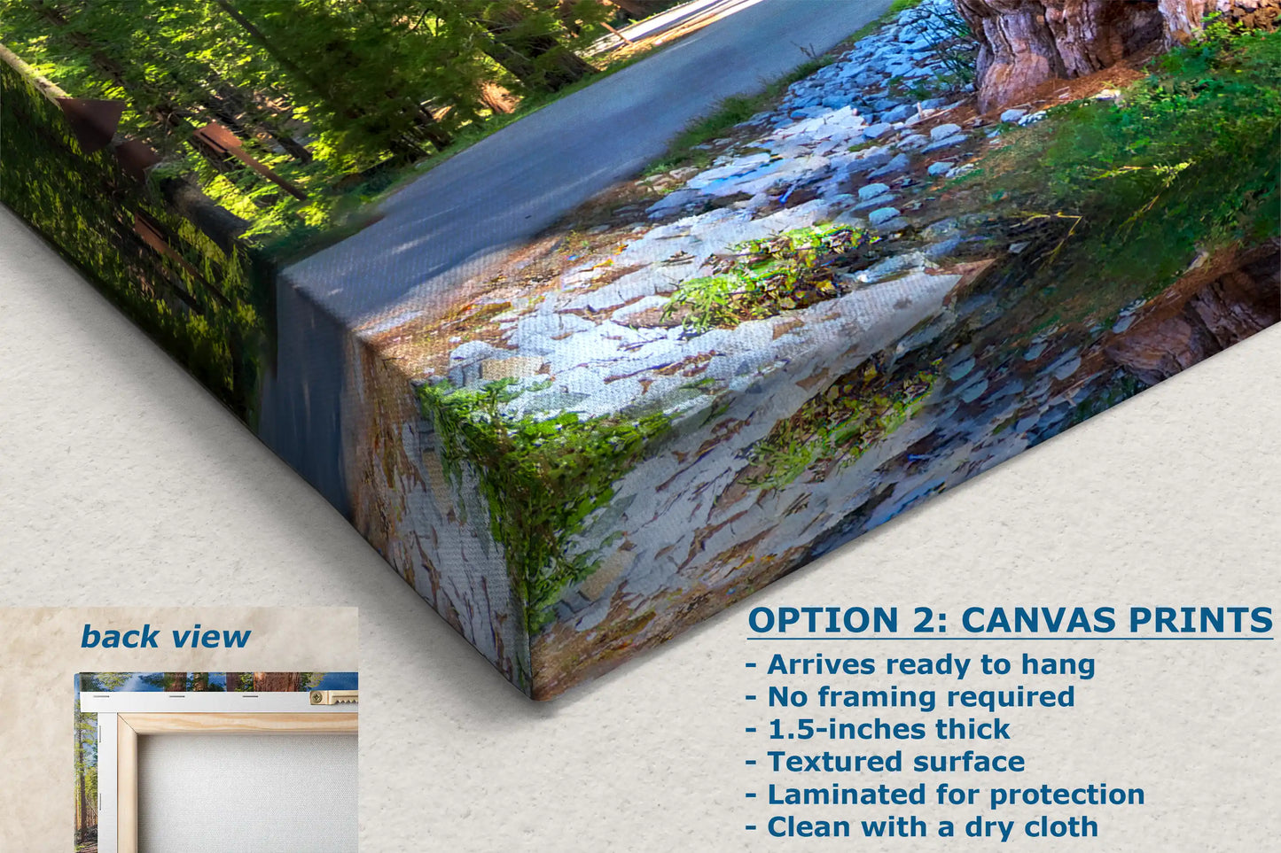 Close-up of canvas print texture showing a detailed image of giant sequoias in a forest.