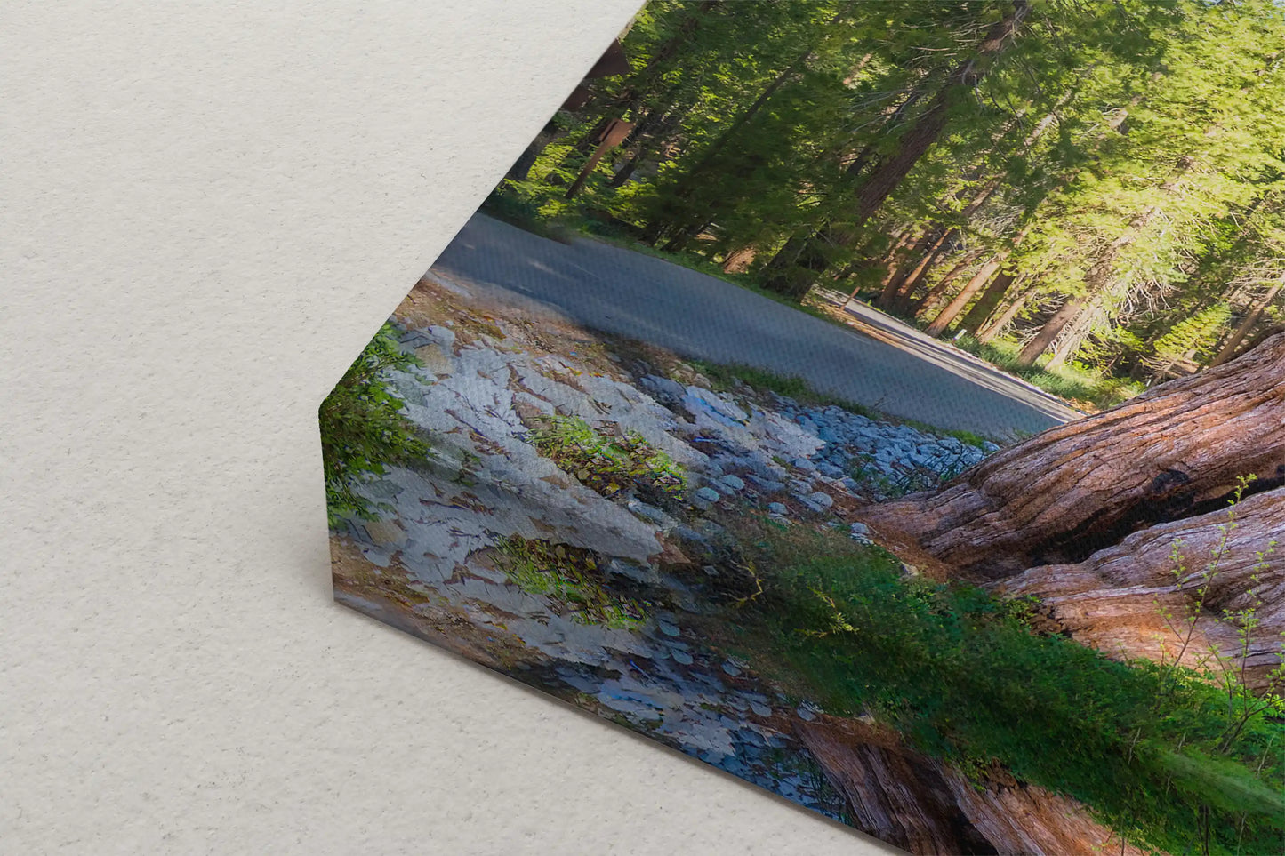 Detailed close-up of canvas print showcasing the intricate details of giant sequoias.