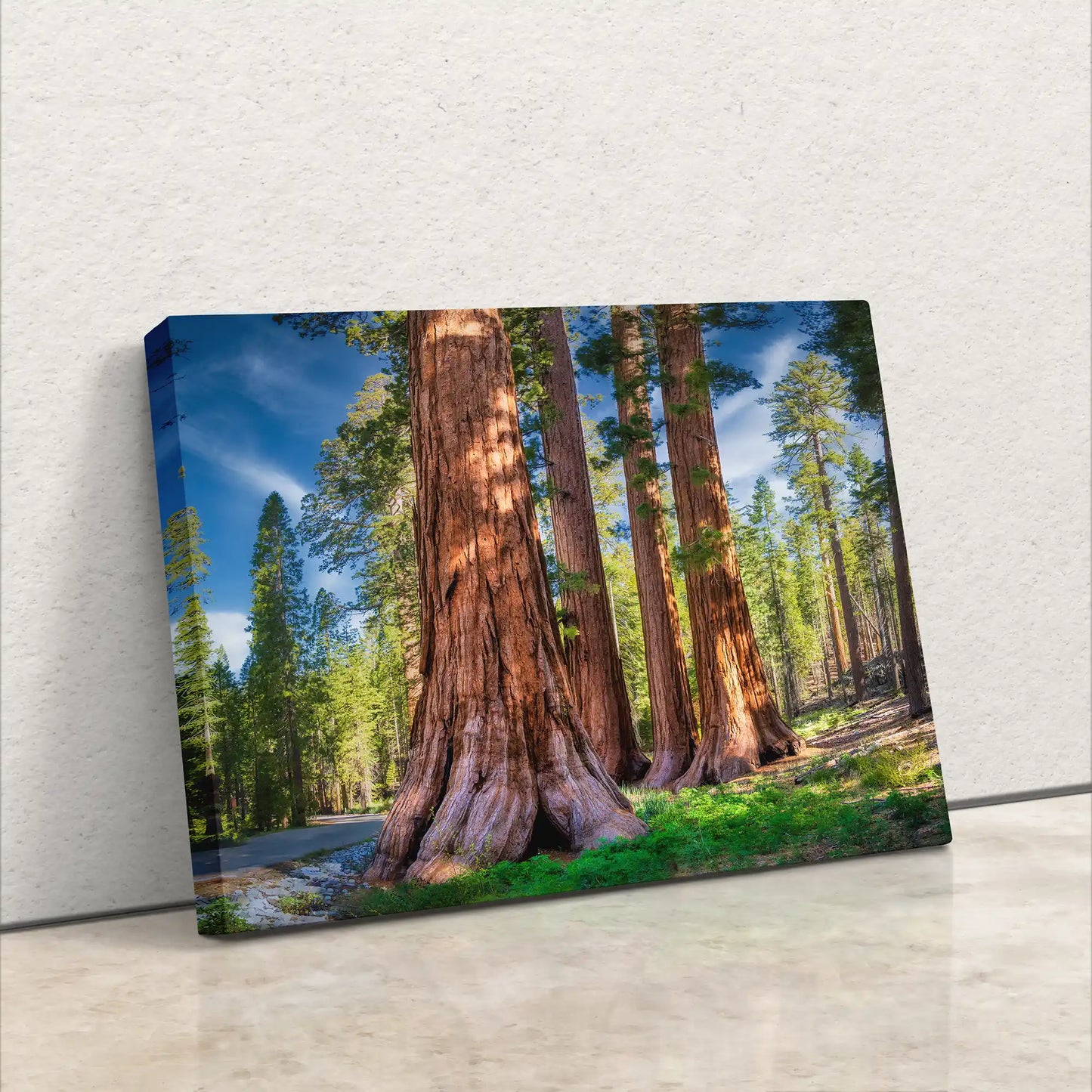 Canvas print of giant sequoias in a forest, side view, leaning against a wall.