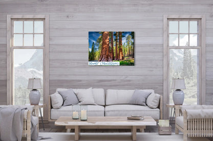 30x40 wall art print of giant sequoias displayed in a living room.