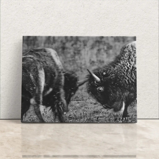 A black and white canvas print showcasing two bison in a head-to-head duel, with a textured surface, leaning against a white wall.