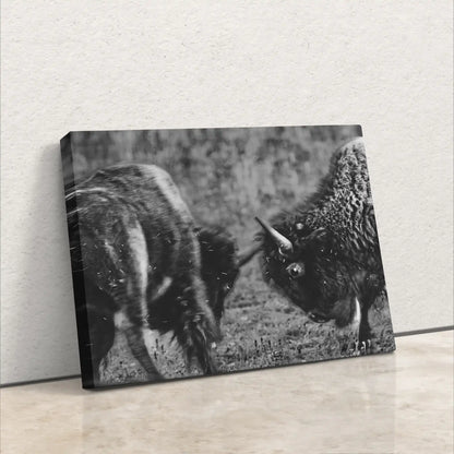 Buffalo Décor, Bison Art, Western Black and White Wildlife Photography